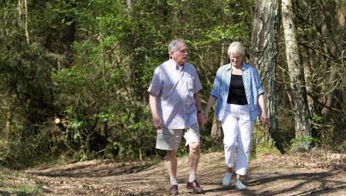 Belmont Inn and Suites image 23